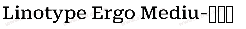 Linotype Ergo Mediu字体转换